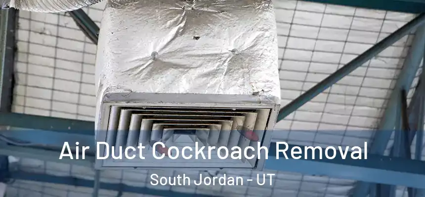  Air Duct Cockroach Removal South Jordan - UT