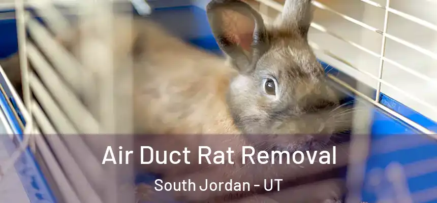  Air Duct Rat Removal South Jordan - UT