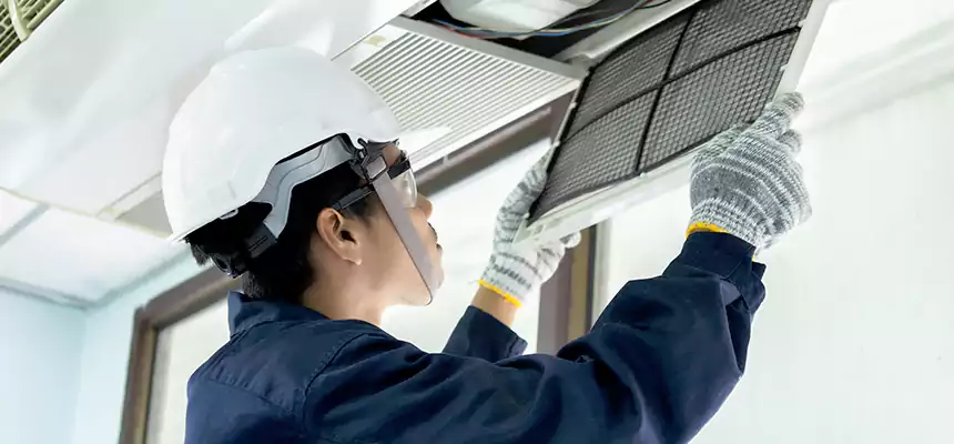 Our Mold & Mildew Removal from Air Ducts Services in South Jordan, UT