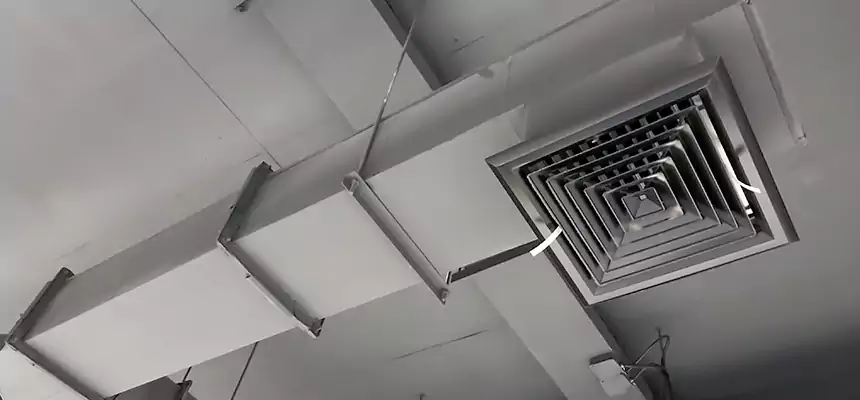 Our Rodent Droppings In Vents Services in South Jordan, UT