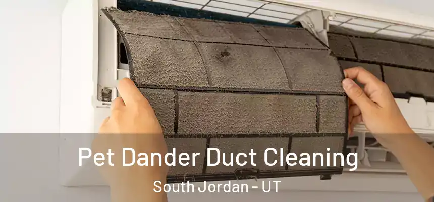  Pet Dander Duct Cleaning South Jordan - UT