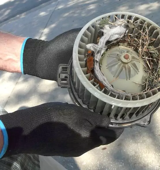 About Air Duct Mice Removal in South Jordan, UT