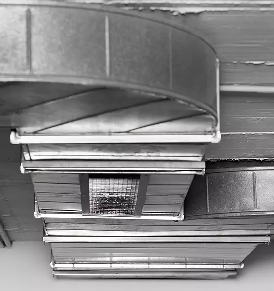 Professional Air Duct Pest Removal in South Jordan, UT