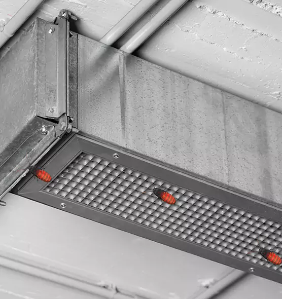 Affordable Insect Removal from Air Ducts in South Jordan, UT