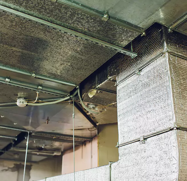 Why Homeowners & Businesses Trust Us in South Jordan, UT?